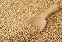 QUINOA