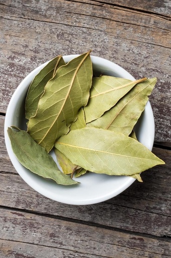 BAY LEAVES