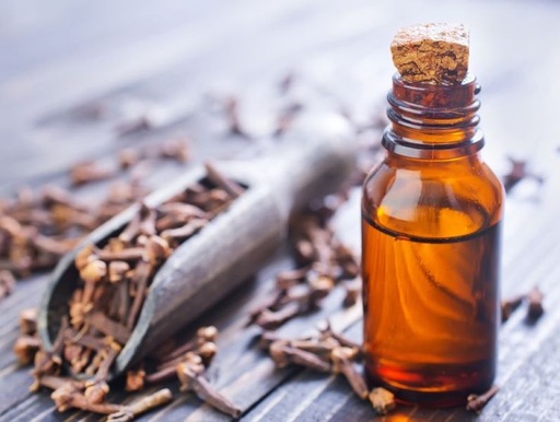 CLOVE OIL 